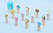 Animal 4 Series B9