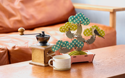 Play Plants Bonsai Puzzles H4