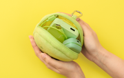 SMISKI Cushion Pouch S0