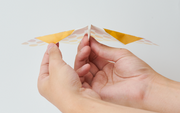 Papillon Origami Airplanes H8