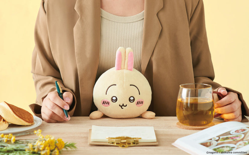 Posture Pal - CHiiKAWA Z9