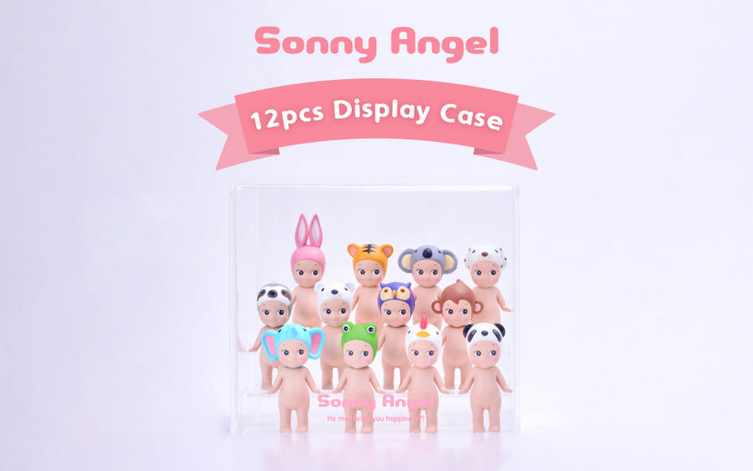 Acrylic Display Case C7