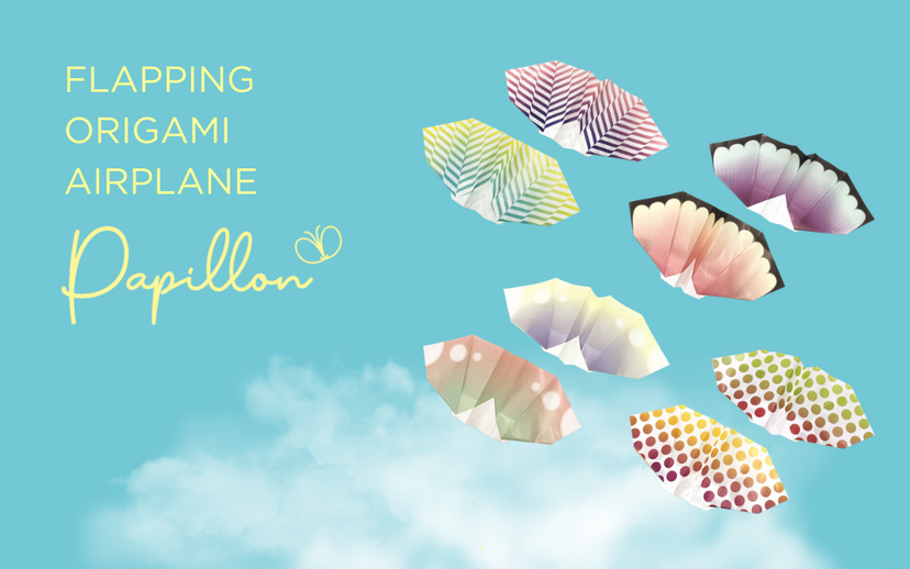 Papillon Origami Airplanes H8
