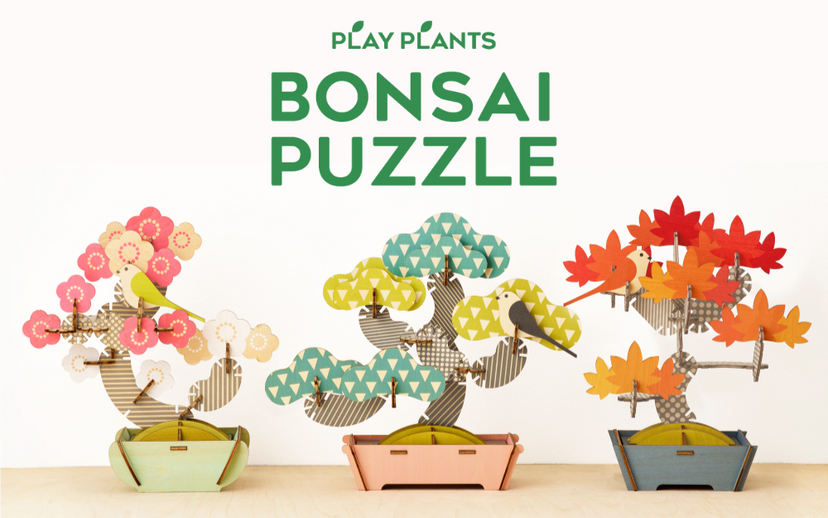 Play Plants Bonsai Puzzles H4