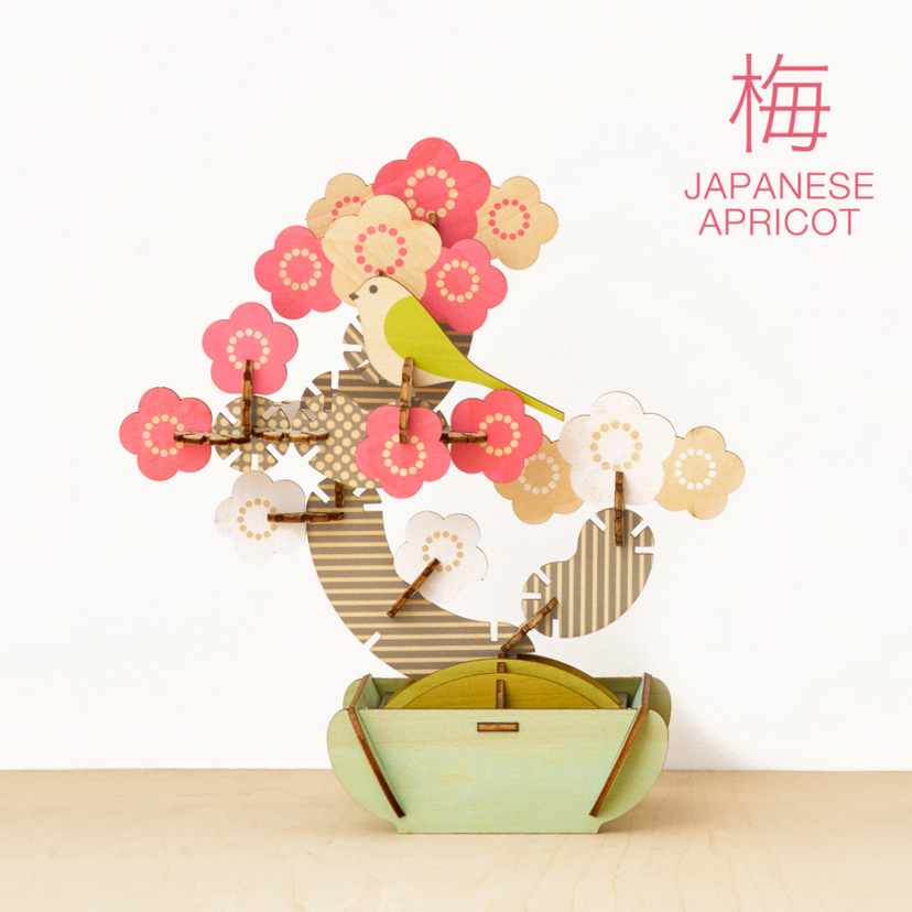 Play Plants Bonsai Puzzles H4