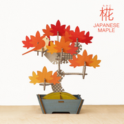 Play Plants Bonsai Puzzles H4