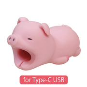 CABLE BITE for Type-C USB S6