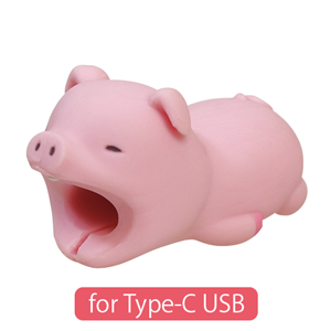 CABLE BITE for Type-C USB S6